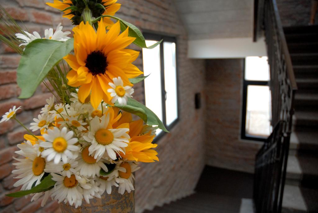 Caro Boutique Hotel Oradea Εξωτερικό φωτογραφία